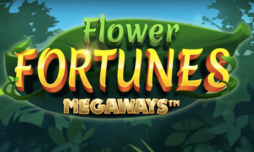 Flower Fortunes slot uses the Megaways mechanic from IGT, making it original and unique.