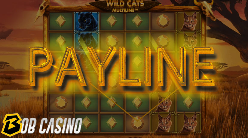 Payline in multiline wild cats slot