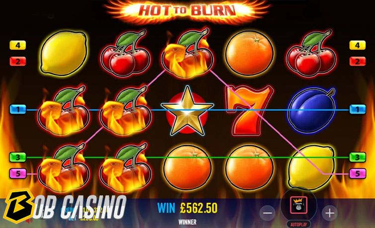 Bonus Round in Hot to Burn Slot on Bob Casino  