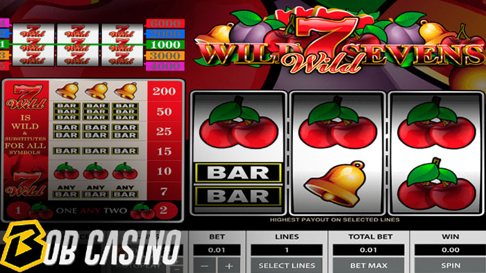 Wild Sevens slot is an example of a 3-reel slot machine.