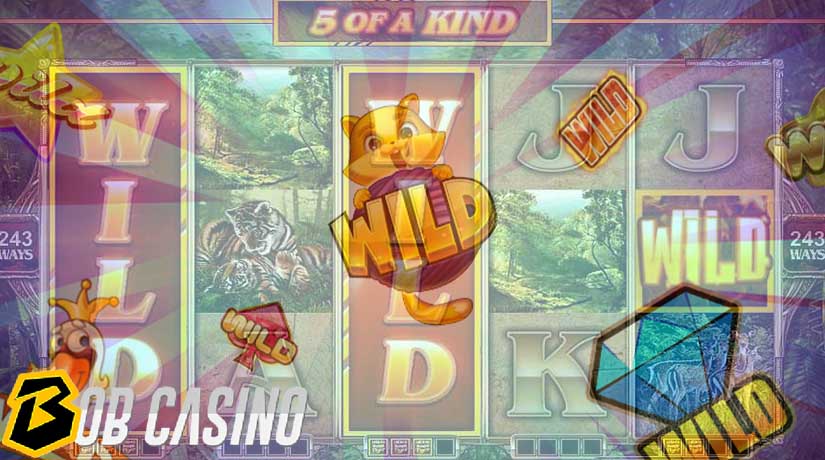 Wild symbol in 5 of a kind slot