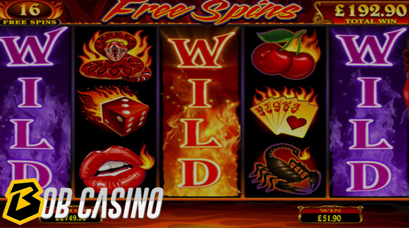 Wild symbols in Free Spins slot