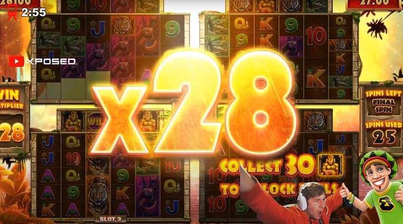 Xposed's Mega win in Online Slot