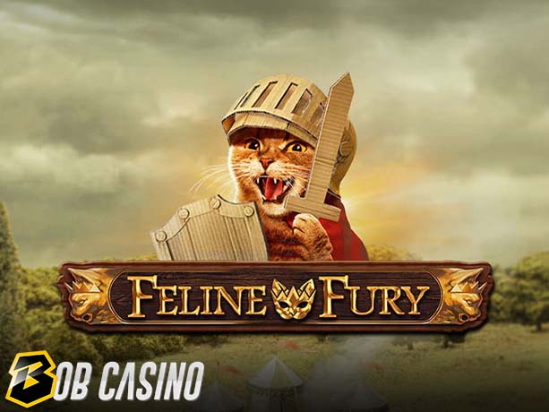 Feline Fury Slot Review on Bob Casino