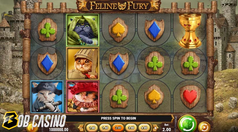 Wild Symbols in Feline Fury Slot