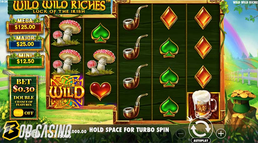 Wild Symbols in Wild Wild Riches Slot 