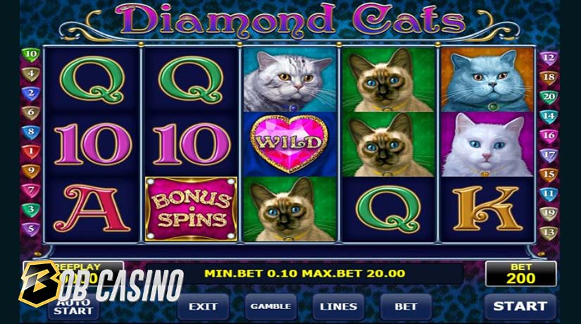 Diamond Cats - one of the most popular Amatic slots.